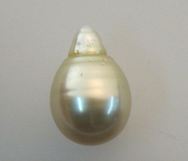 Golden South Sea Pearl - Pear