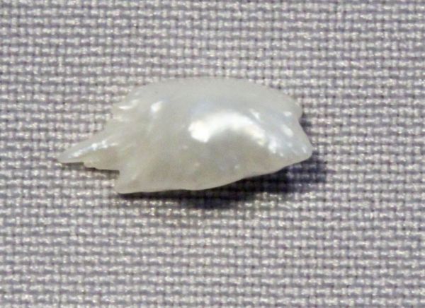 Antique Natural Pearl - 0.52 ct.