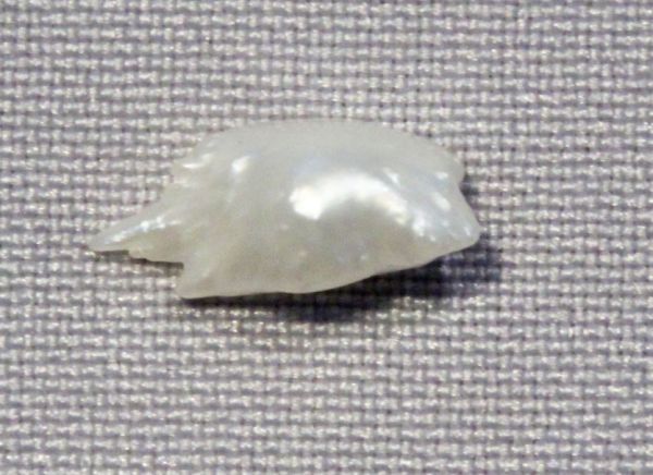 Antique Natural Pearl, 0.52 ct. - 4.5x8.5mm