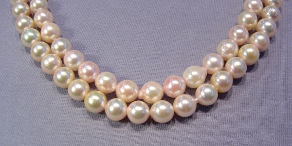 8-8.5mm Japanese Akoya Pearl Strands