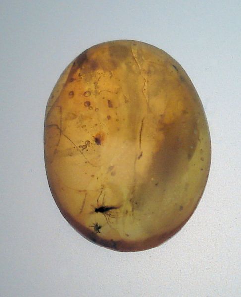Fossil Amber with Insects - 2.36 gr.