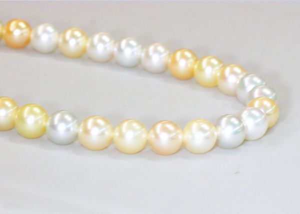 8mm Round White & Gold South Sea Pearl Strand