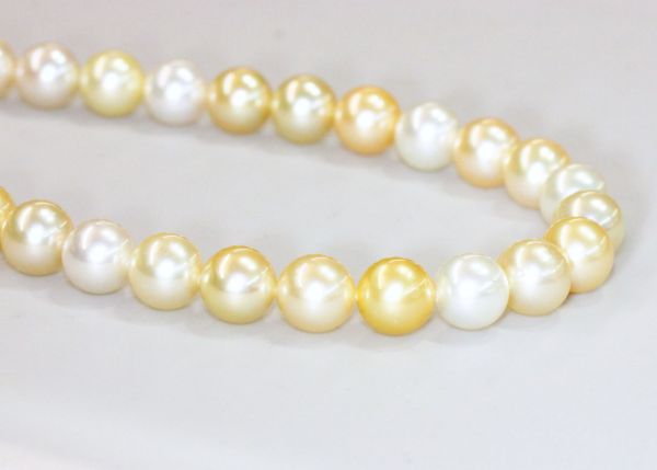 8mm South Sea Gold and White Pearl Strands