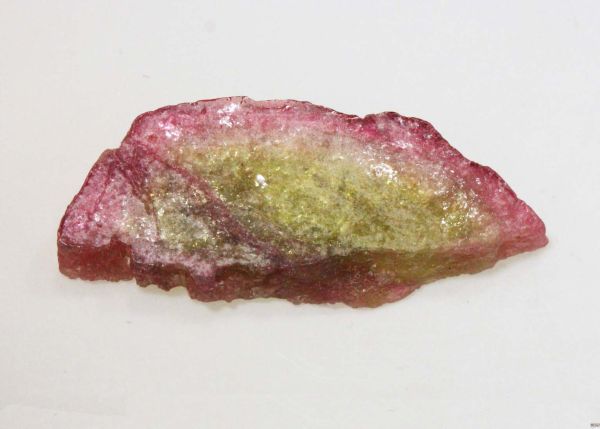 Watermelon Tourmaline, 16.48 cts. - 12x30mm