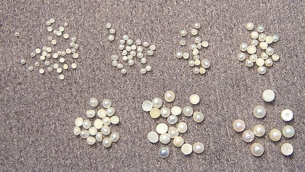 Natural half pearls