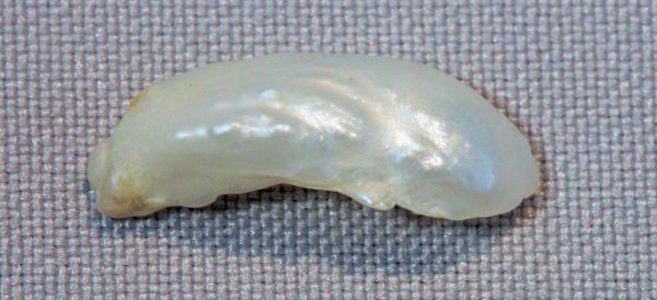 Antique Natural Pearl 
