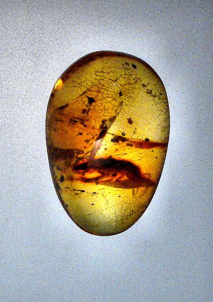 Fossil Amber with Insects - 1.18 gr.