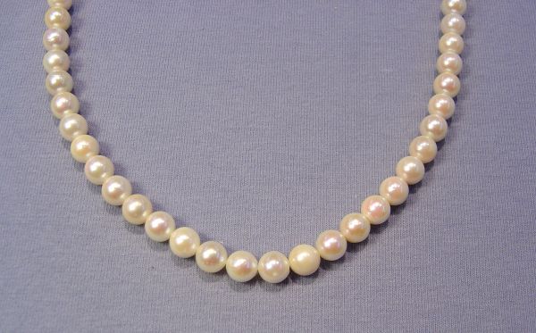 6.5-7mm Golden Japanese Pearls
