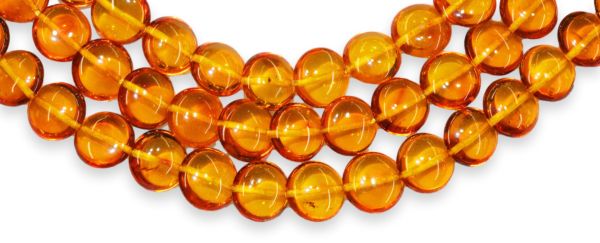 8mm Lentil Amber Bead Strands