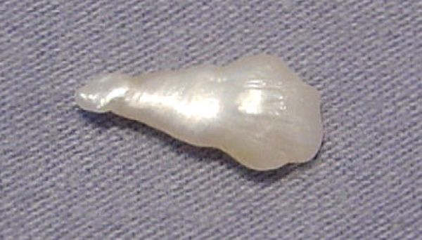 Antique Natural Pearl - 1.07 cts.