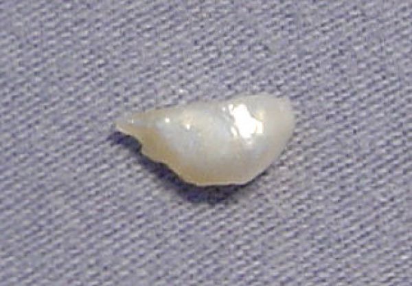 Antique Natural Pearl - 0.46 ct.