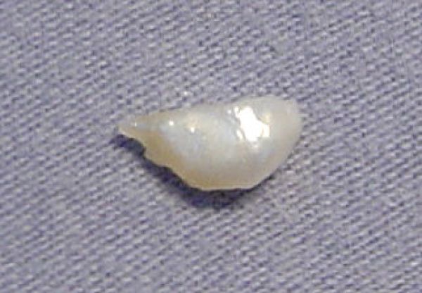 Natural Antique Pearl