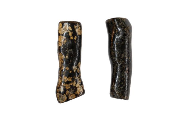 black coral branches