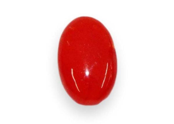 Red Coral Cabochon - 1.06 cts.