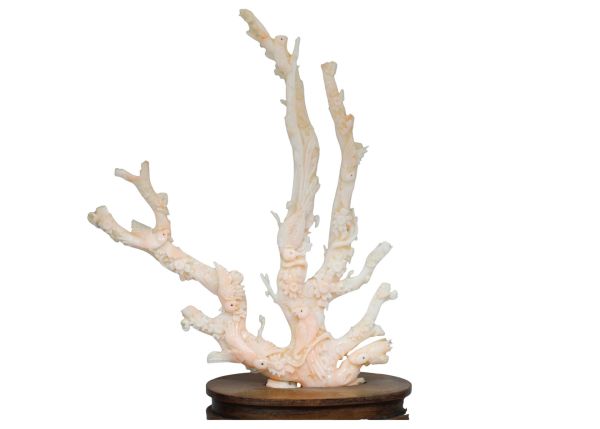 Natural Coral Carving