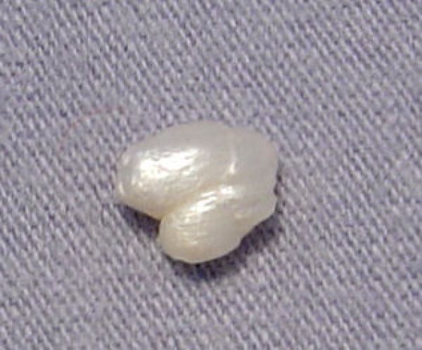 Antique Natural Pearl - 0.60 ct.