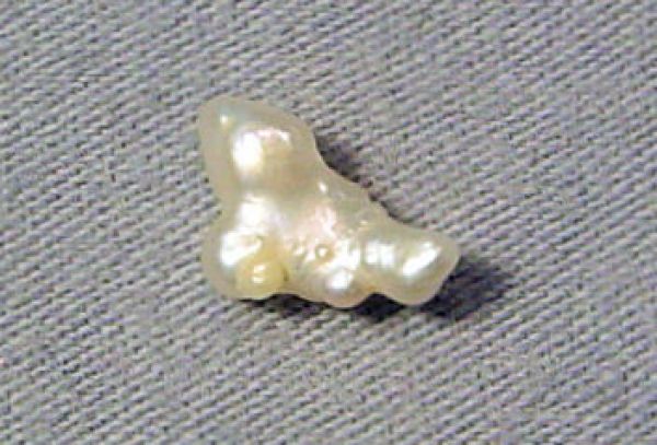 Antique Natural Pearl - 0.78 ct. - 5.5x9.1mm