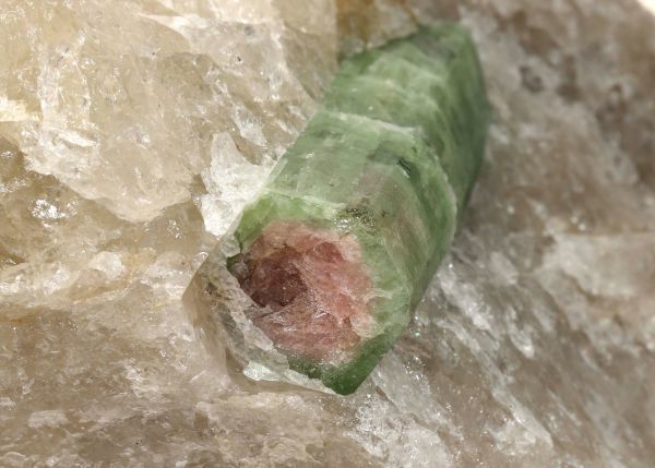 Watermelon Tourmaline in Quartz Host