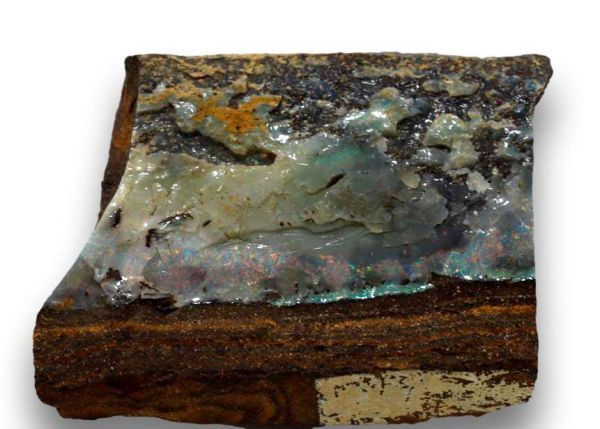 Opalized Petrified Wood - 172 grams