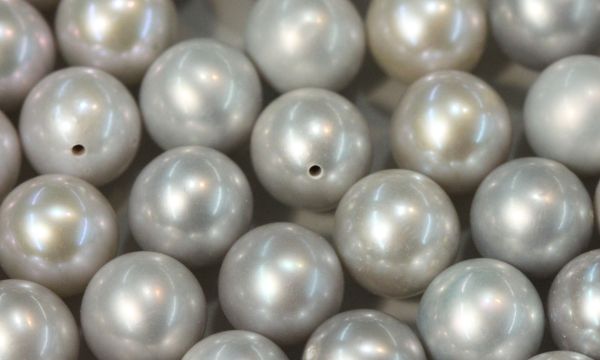 Freshwater Cultured Dove Grey Round Pearls - Half-drilled