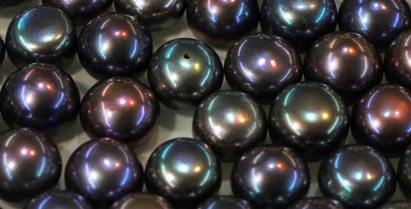 NATURAL FRESHWATER PEACOCK RAINBOW PEARL ROUND FLAT BOTTOM HALF DRILLED WP001E9 