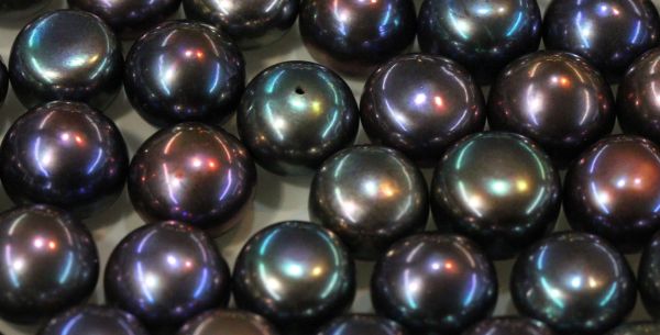 Peacock Button Freshwater Pearls