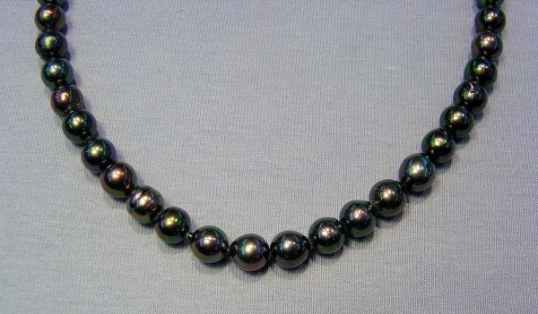 7-7.5mm Peacock Japanese Pearls