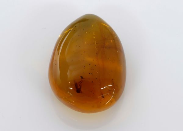 Natural Amber Fossil with Insects, 8 gr - 25x34.4mm