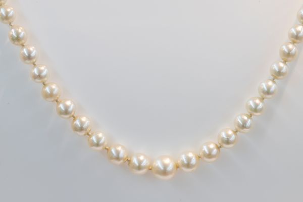 Japanese cultured pearl necklace 