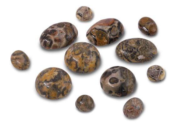 Wholesale Leopardskin Jasper Cabochons