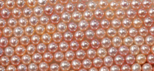 Natural Color Undrilled Seed Pearls