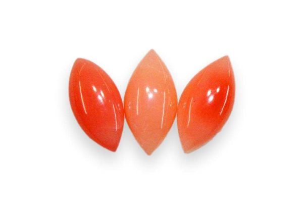 Navette Coral Cabochons