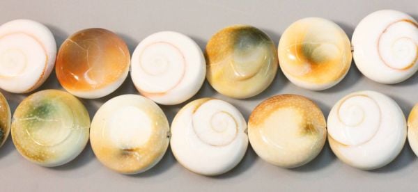 Operculum Shell Beads