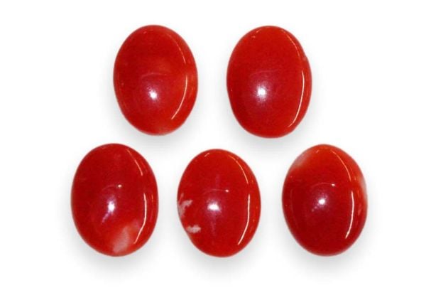 Oval Oxblood Coral Cabochons