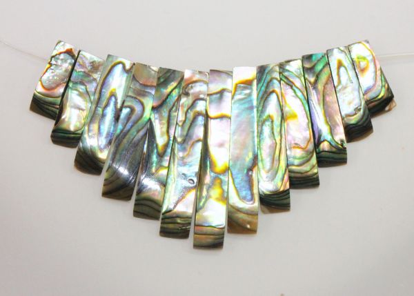 Paua Shell 13-piece Small Tapered Strips