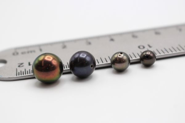 Japanese Peacock Freshwater Pearl Half Drilled