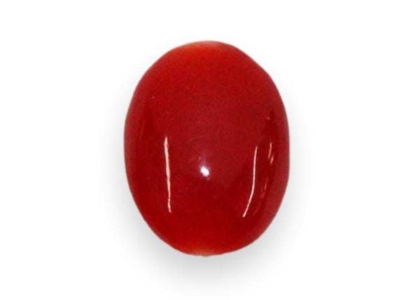 Red Coral Cabochon - 1.45 cts.