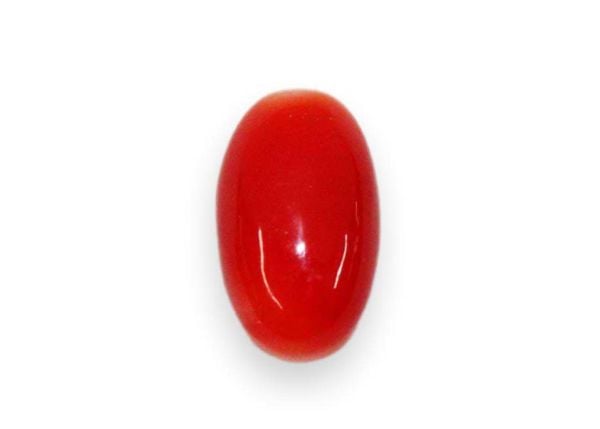 Red Coral Cabochon - 2.47 cts.