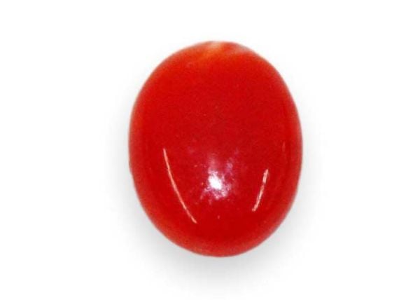 Red Coral Cabochon - 0.93 ct.