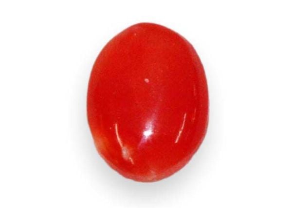 Red Coral Cabochon - 0.98 ct.