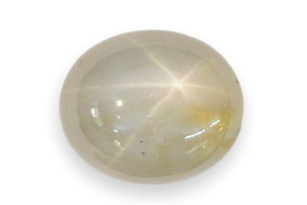 Star Sapphire Round Cabochon, 24.02 cts. - 14x16.7mm