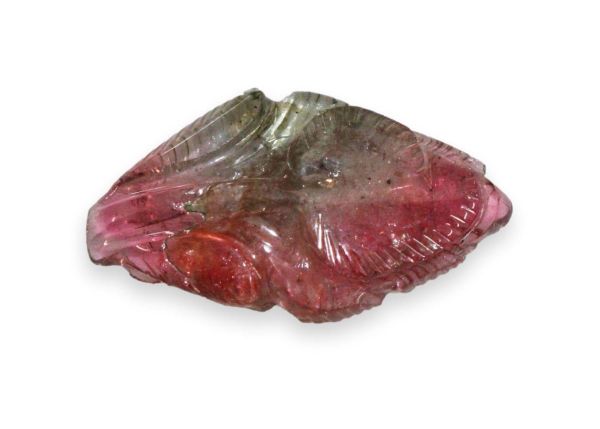 Tourmaline Bi-Color Carving, 12.13 cts. - 14.5 x 25 mm