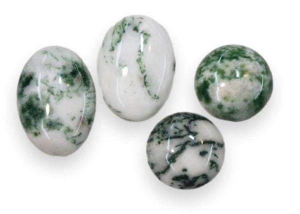 Tree Agate Cabochons
