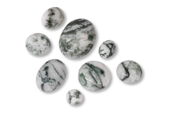 Tree Agate Cabochons