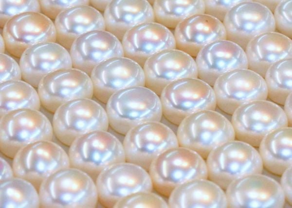 White Button Half-drilled Freshwater Pearls