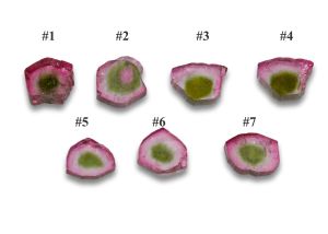 $20.00 Natural Watermelon Tourmaline Slices
