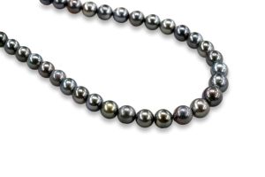 Natural Color Tahitian Pearl Round Strand – 8 - 10.1 mm